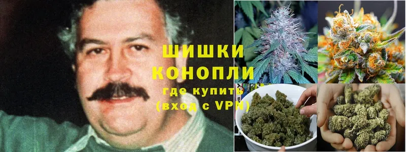 купить закладку  Карабаново  Бошки марихуана Amnesia 